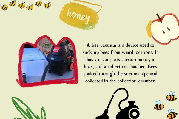 what is a bee vacuum