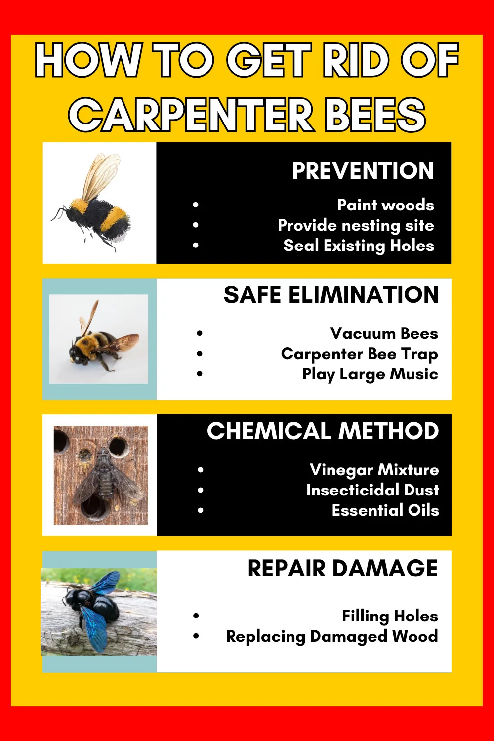 How to get rid of carpenter bees