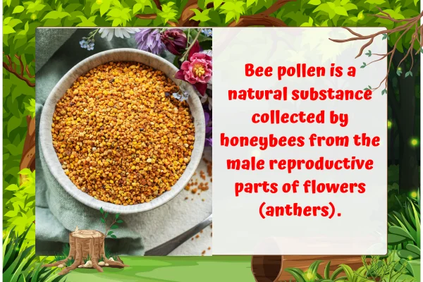 what is bee pollen