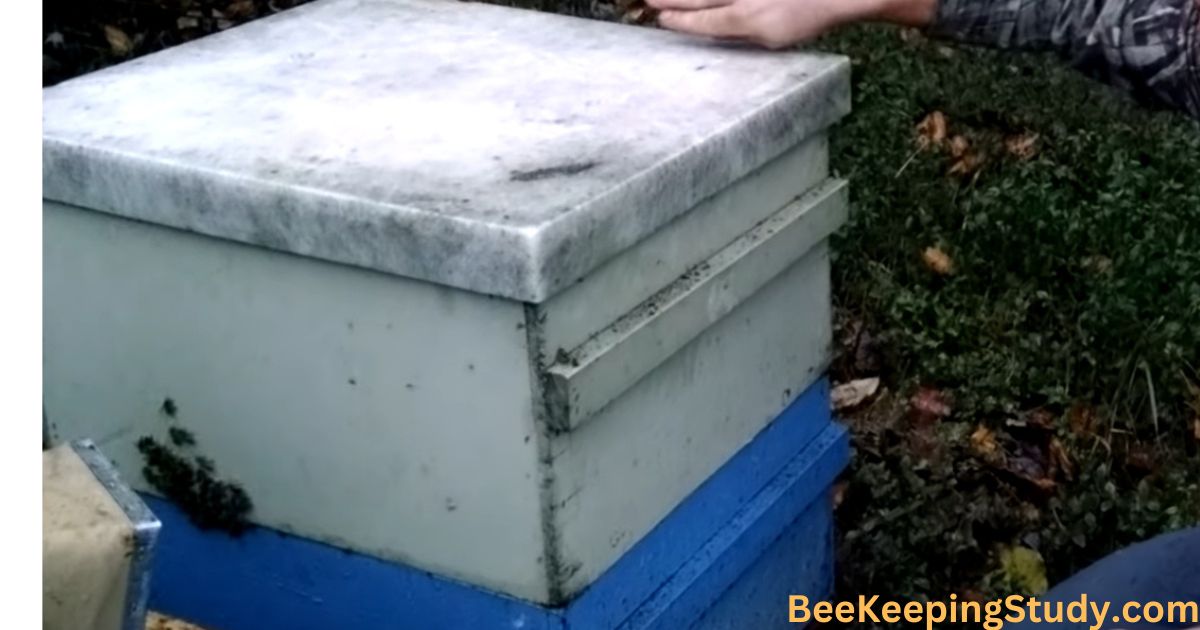 How To Install A Beehive Moisture Board