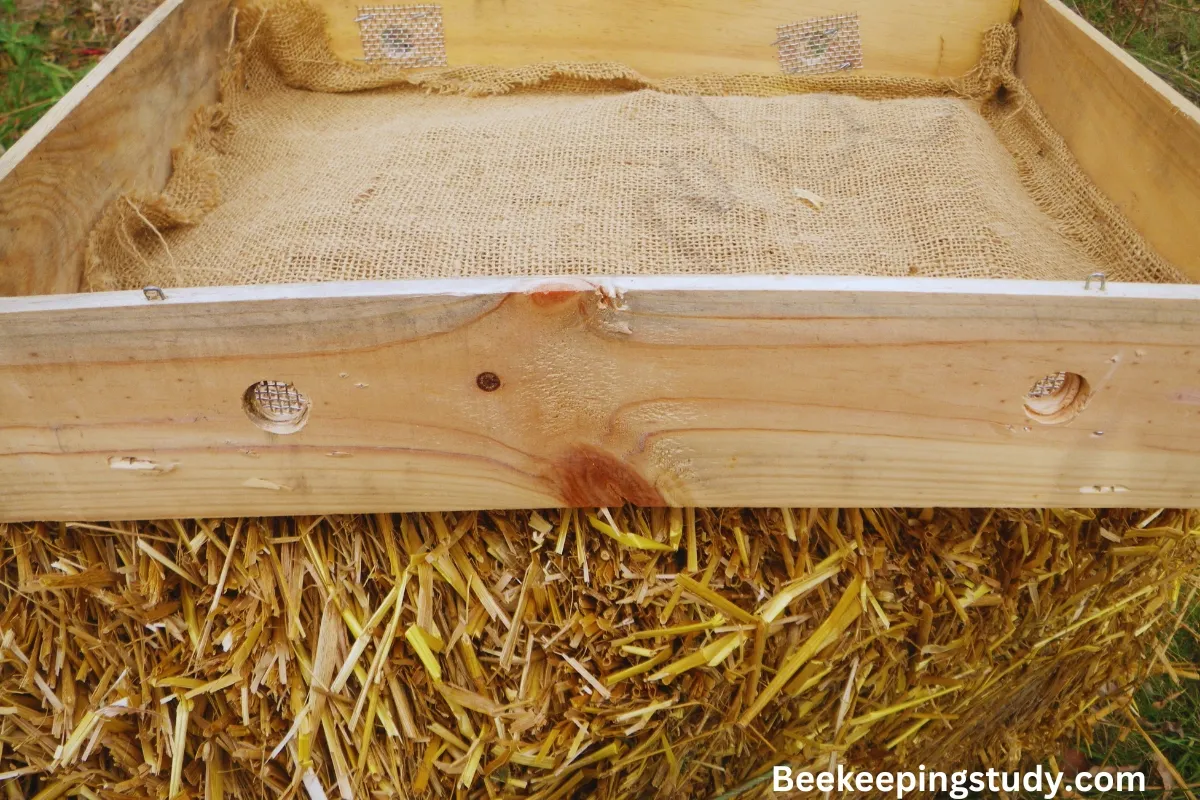 DIY How To Make A Beehive Moisture Board (Full Guide) BeekeepingStudy