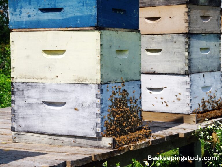 DIY Beehive Moisture Board