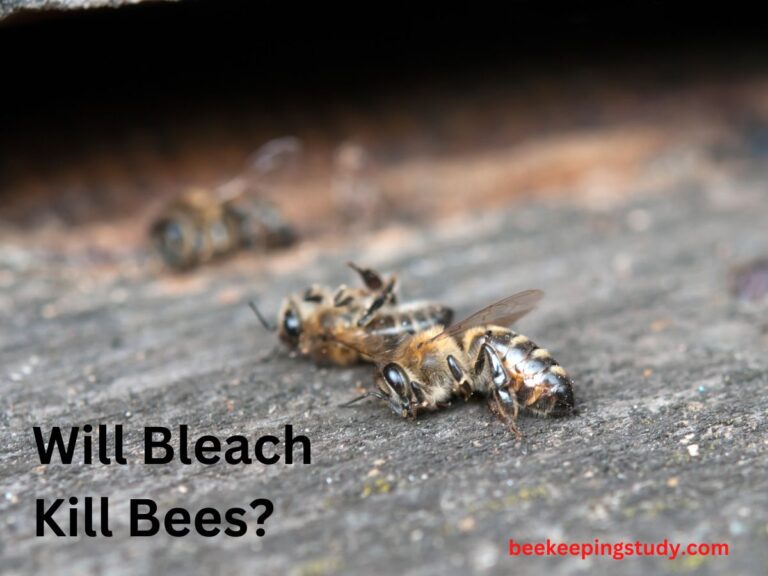 Will Bleach Kill Bees