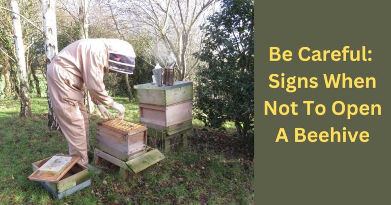 Be Careful Signs When Not To Open A Beehive