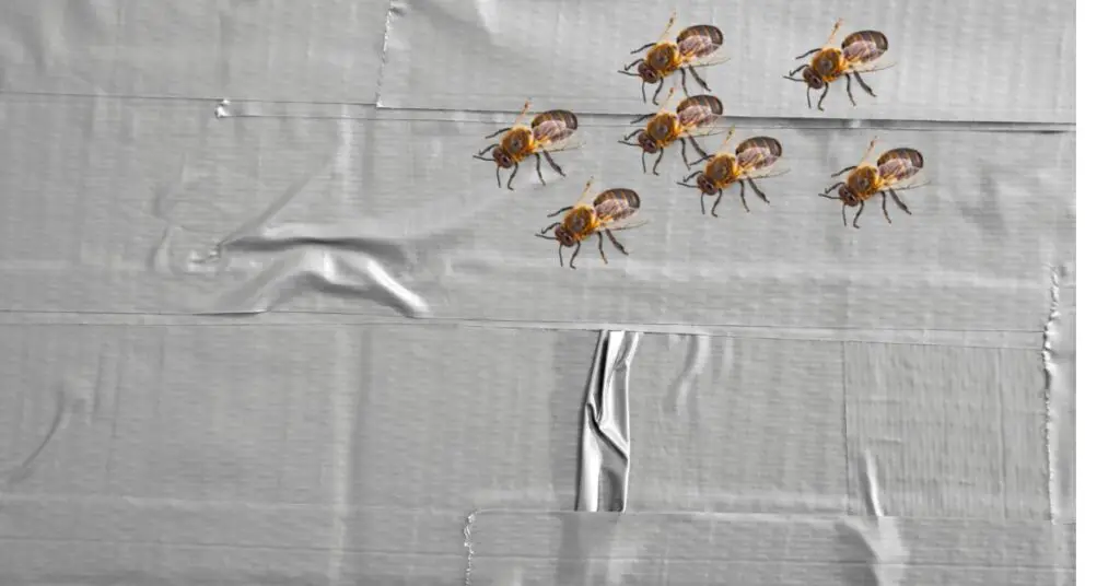 Duct Tape And Beekeeping Can Bees Really Chew Through It