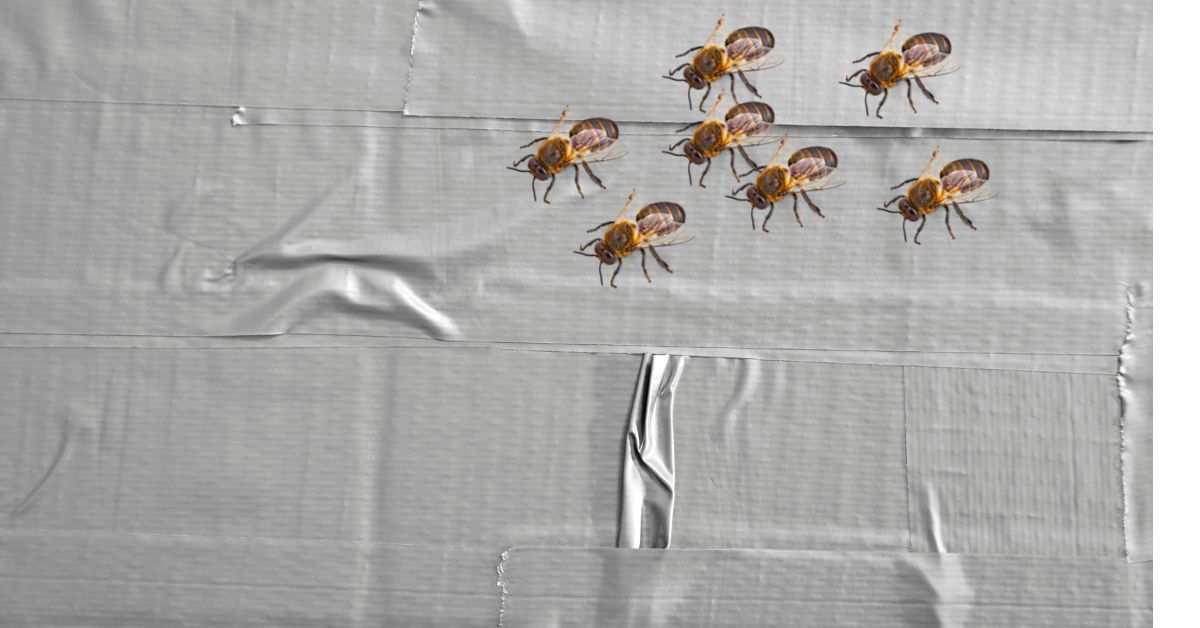 Can Bees Chew Through Duct Tape?