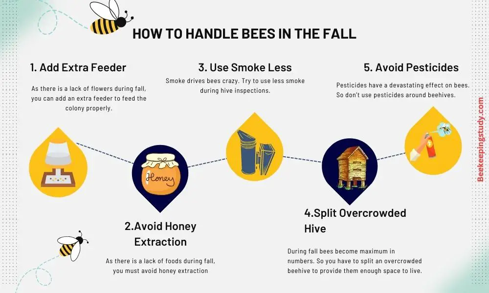 How To Calm Aggressive Bees In The Fall
