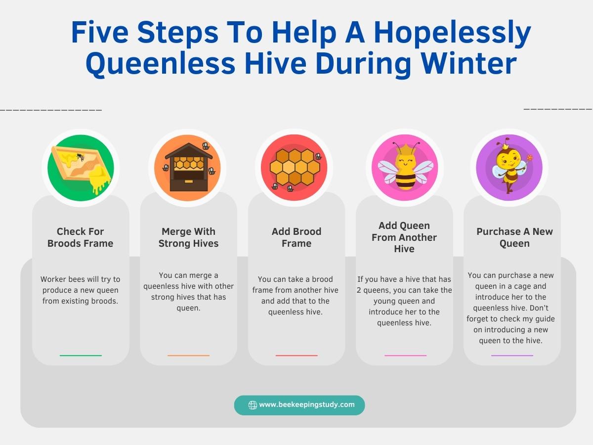 How To Help A Hopelessly Queenless Hive During Winter