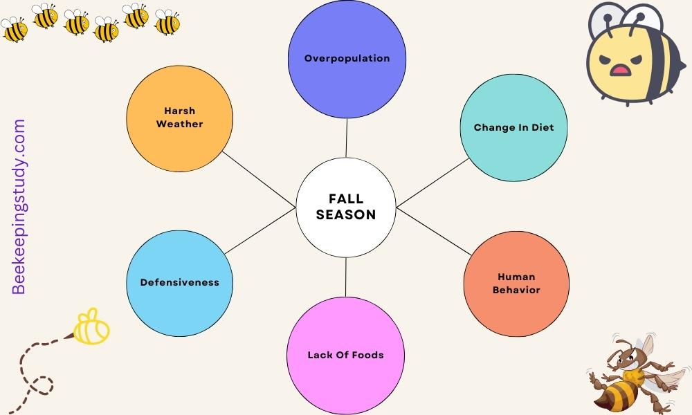  Why Bees Are More Aggressive In The Fall