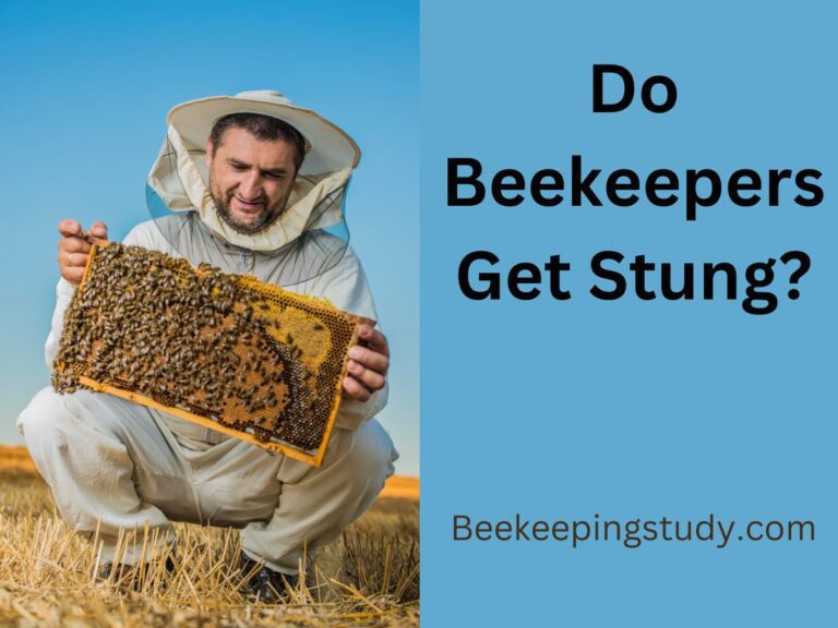 Do Beekeepers Get Stung?