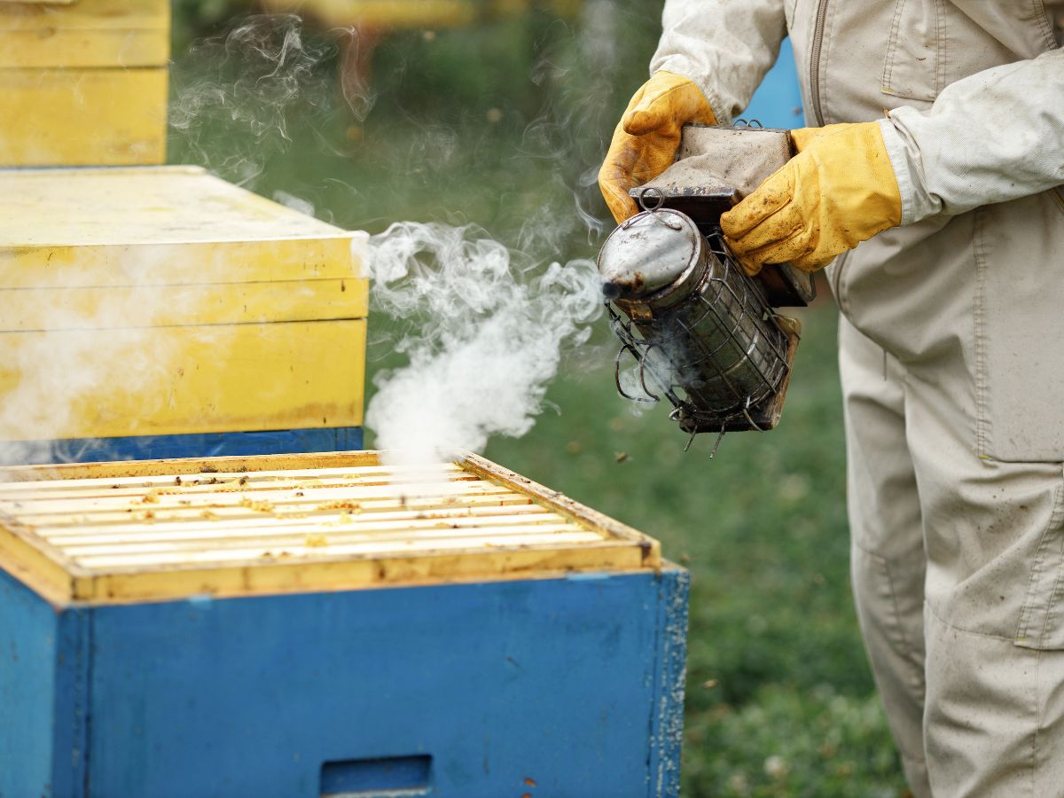 How To Use A Bee Smoker With Pallets
