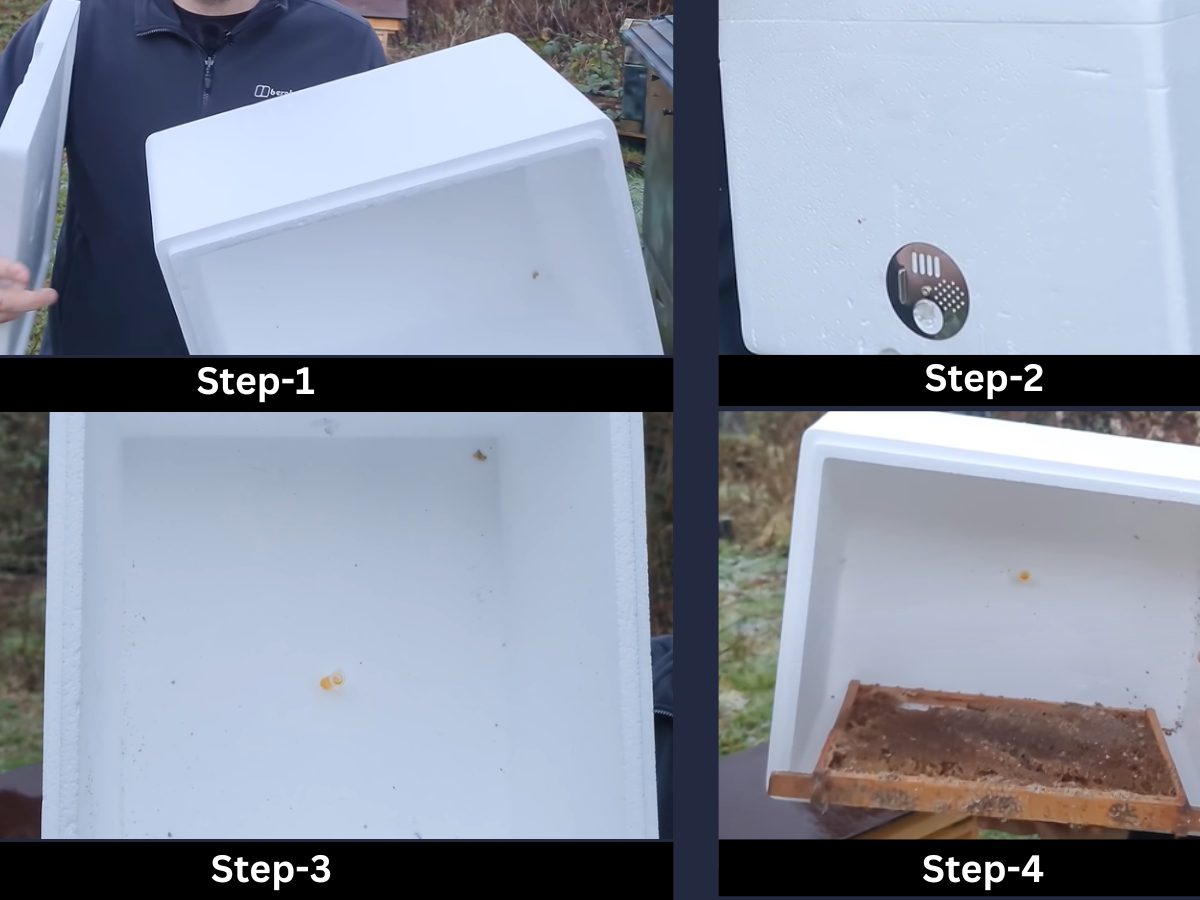 Step By Step Guide To Make A Bee Swarm Trap