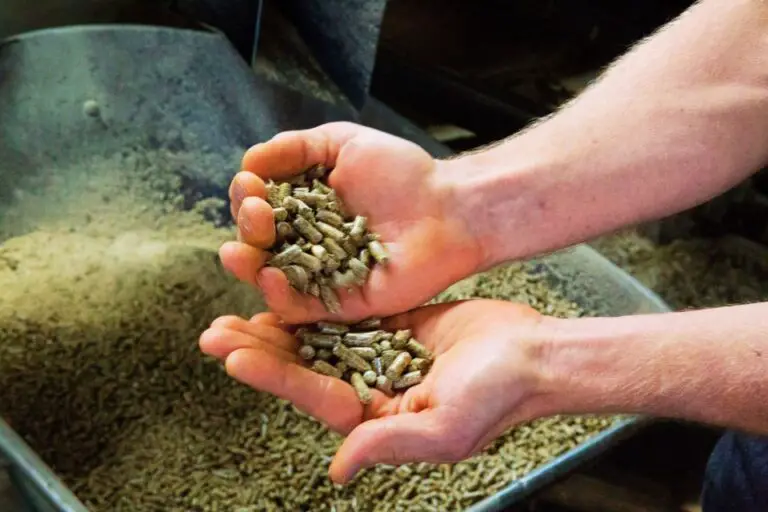 The Ultimate Guide On How To Use A Bee Smoker With Pellets