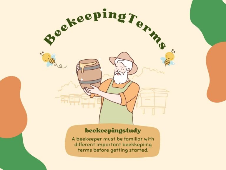 Beekeeping Terms