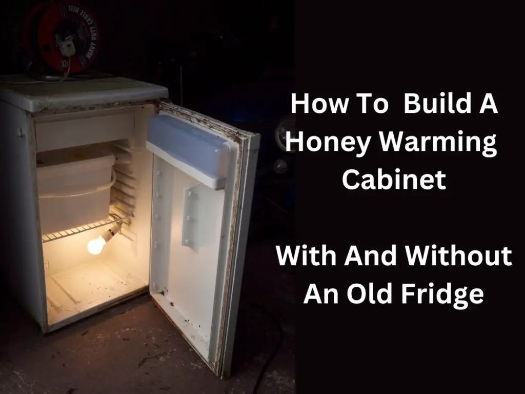 Ultimate Guide To Make A Honey Warming (2 Methods