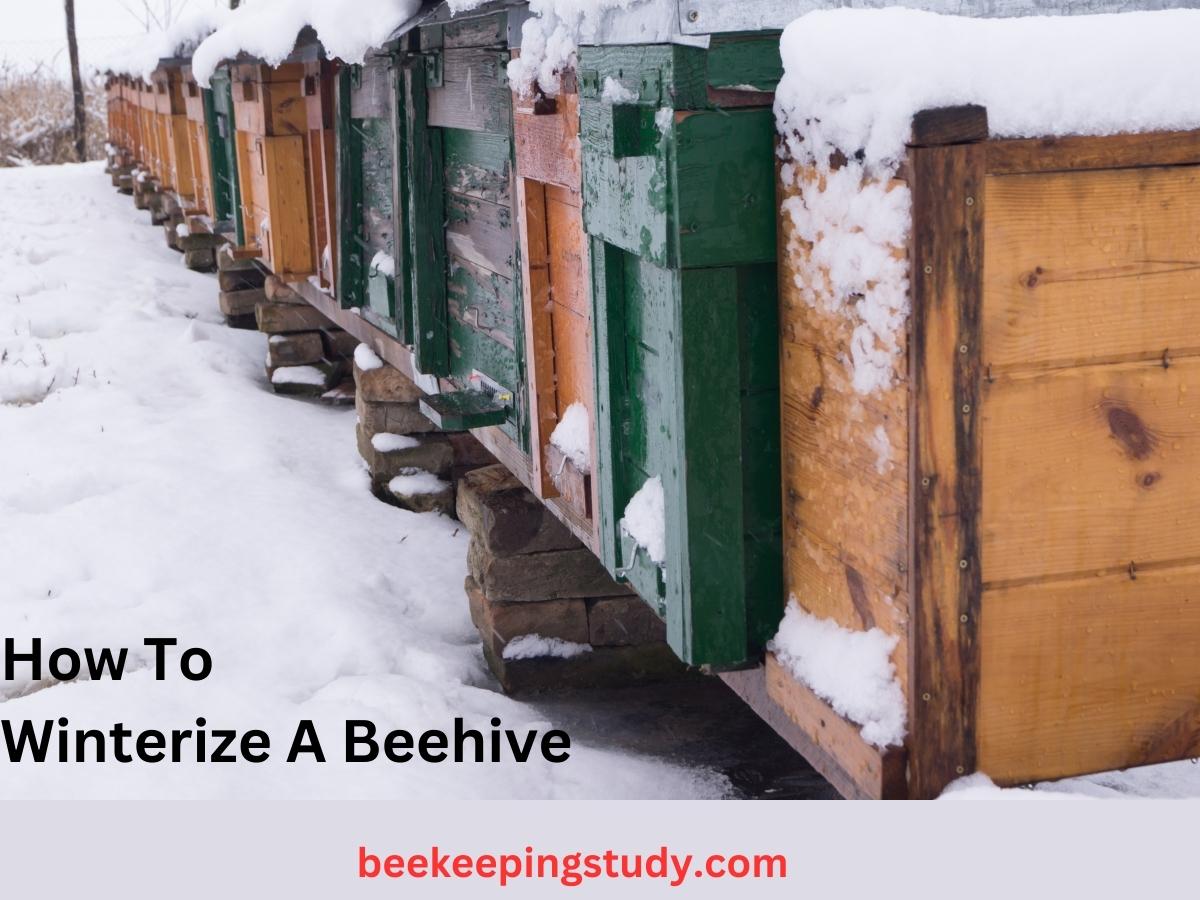 How To Winterize A Beehive