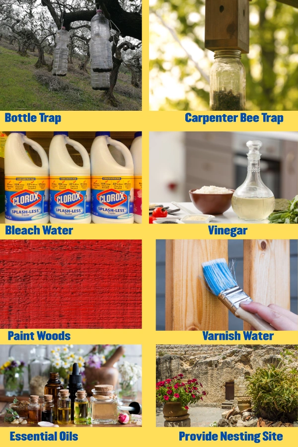 8 Ways to Get rid of blackjack bees