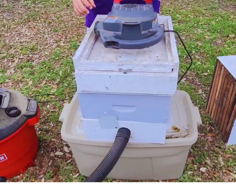 4 Easy DIY Bee Vacuum Plans (Build A Portable Bee Vac) - Beekeepingstudy