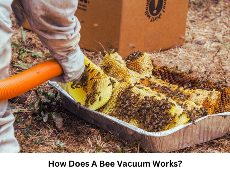 How Does A Bee Vacuum Works