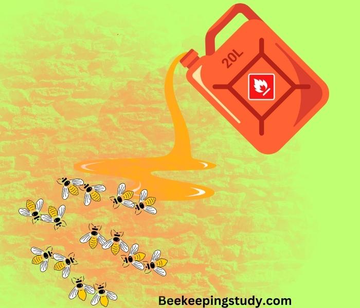 Does Gasoline Really Kill Bees