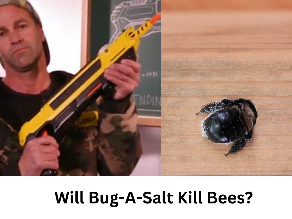 Will Bug-A-Salt Kill Bees