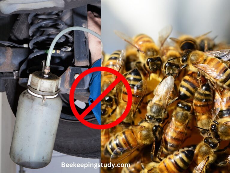 Will Starting Fluid Kill Bees