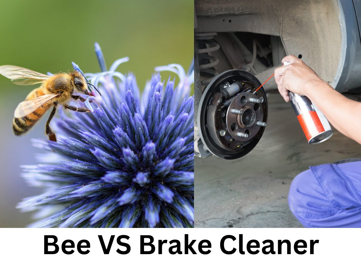 Does brake cleaner kill bees