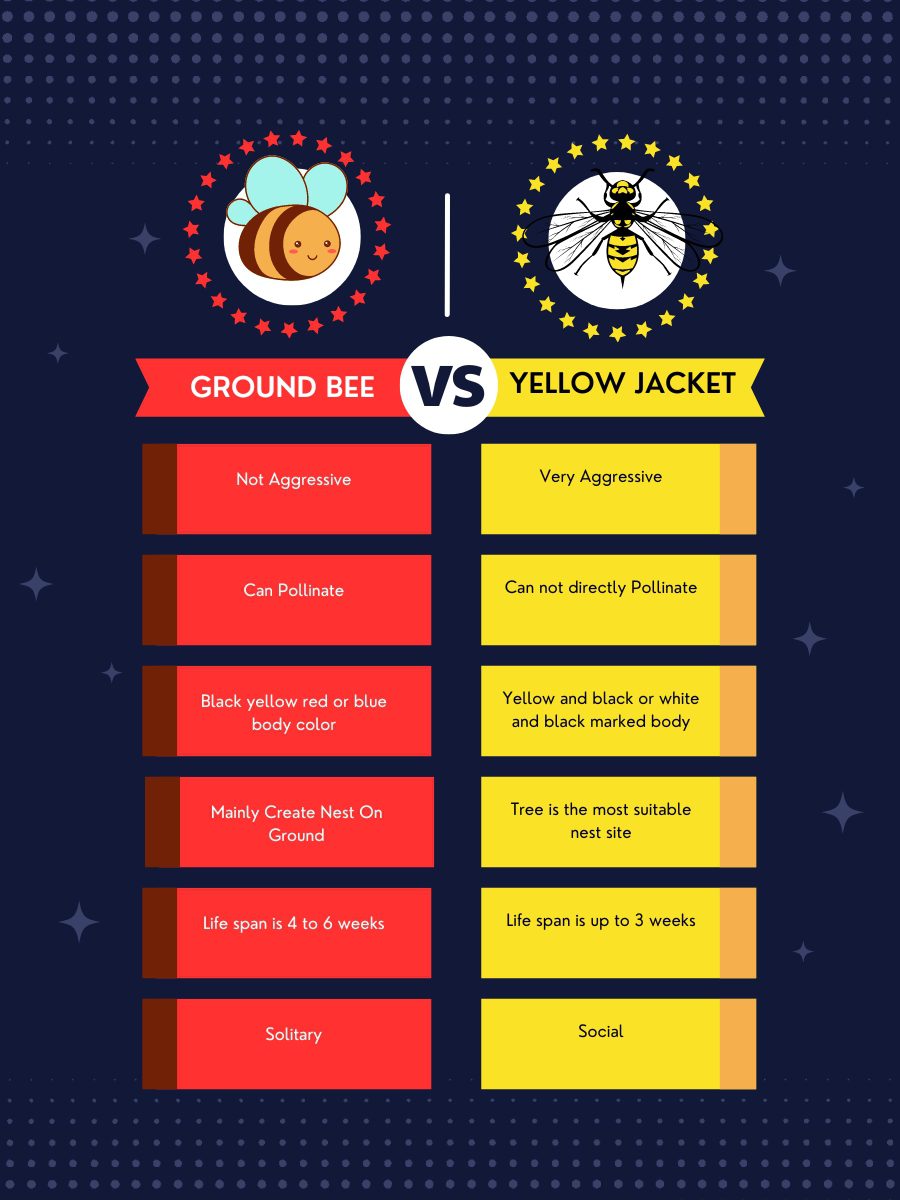 Ground bees vs yellow jackets comparison