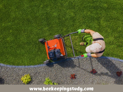 Aerate the Soil to Keep Ground Bees Away