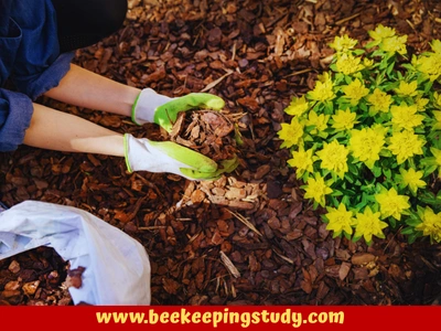 Cover Bare Patches with Mulch