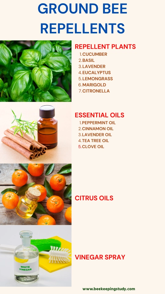 Natural repellents of Ground bees