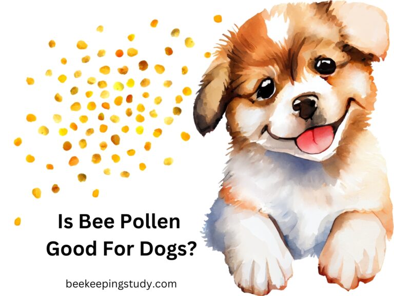 Is Bee Pollen Good For Dogs