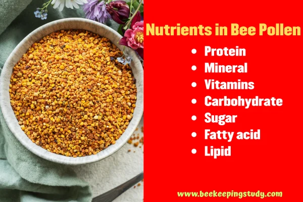 Nutrients in Bee Pollen