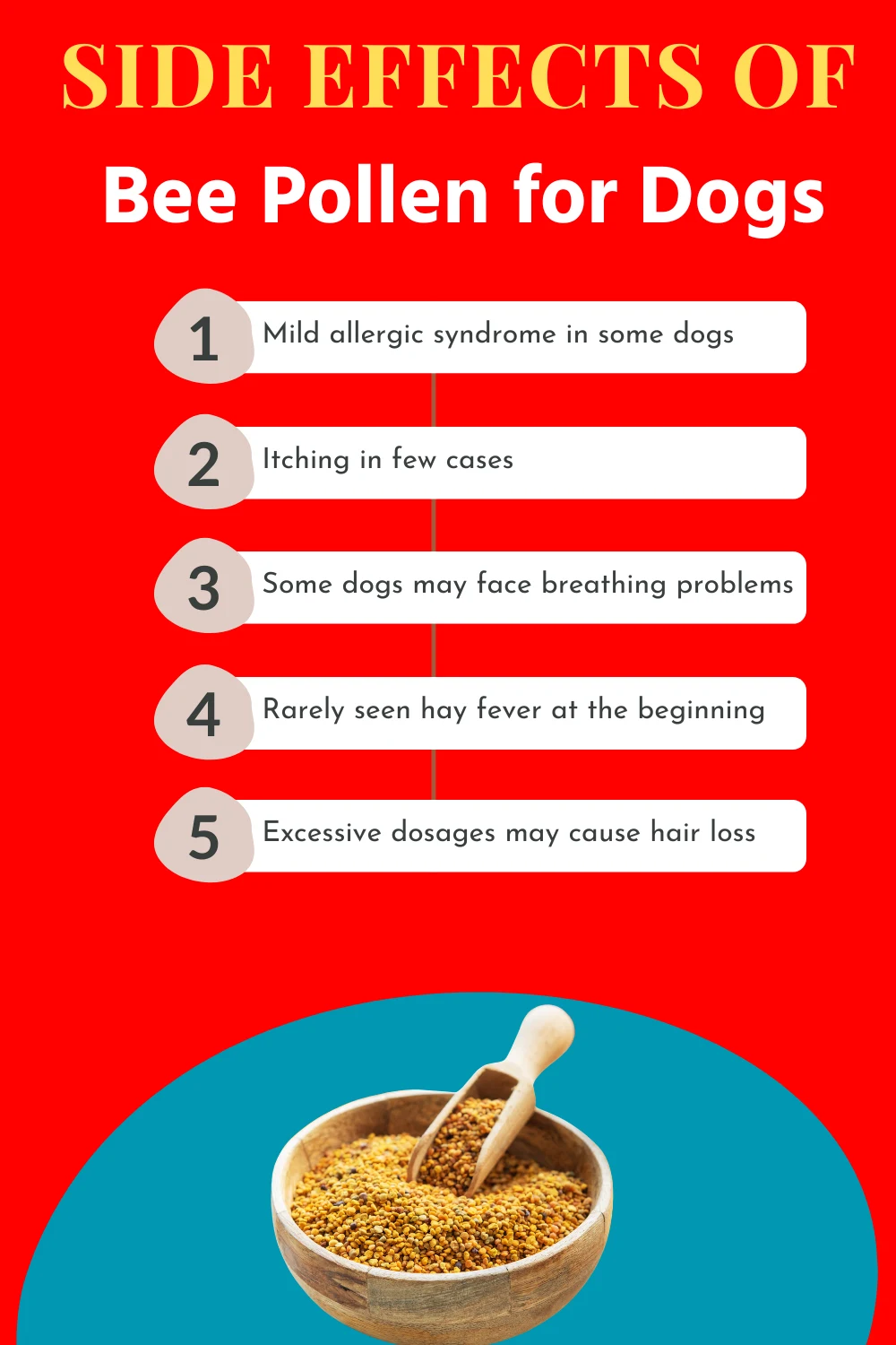 Side Effects of Bee Pollen for Dogs