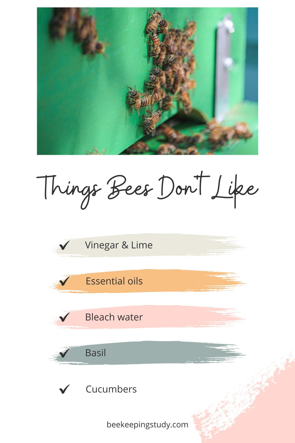 Things Bees Dont Like
