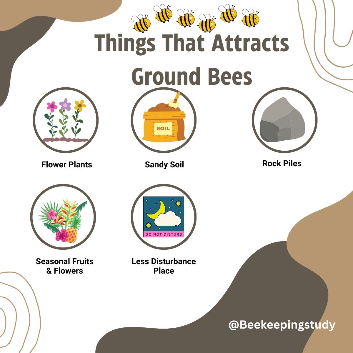 Things That Attracts Ground Bees