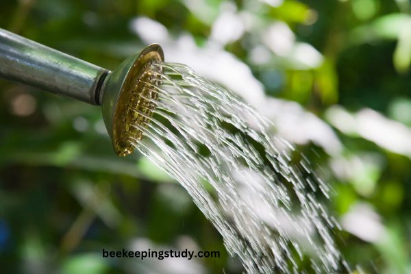 Watering To Get Rid Of Bees