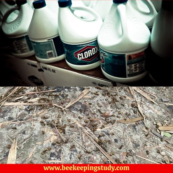Does Clorox Kill Bees