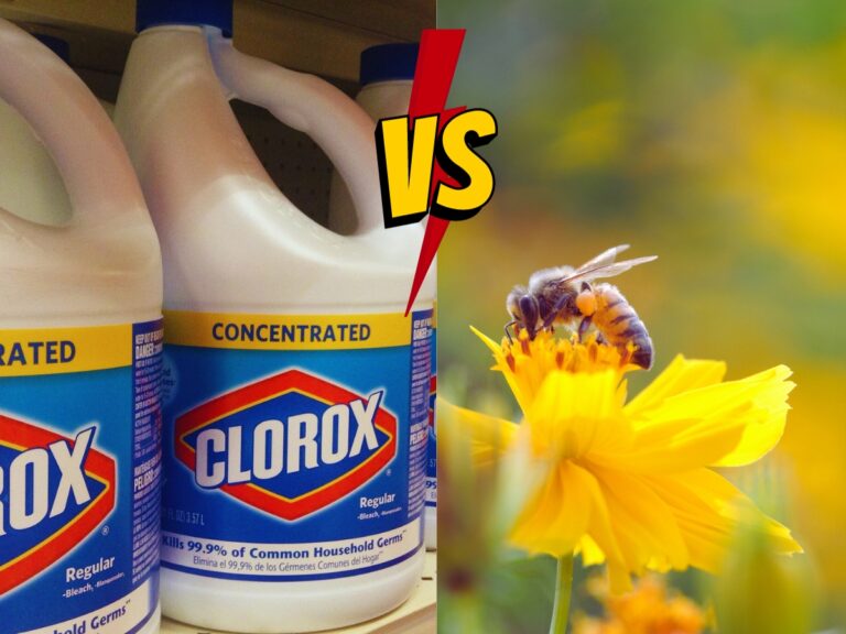 Does Clorox kill bees