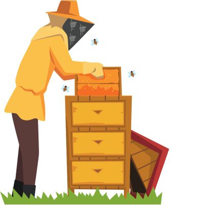 How To Inspect A Beehive