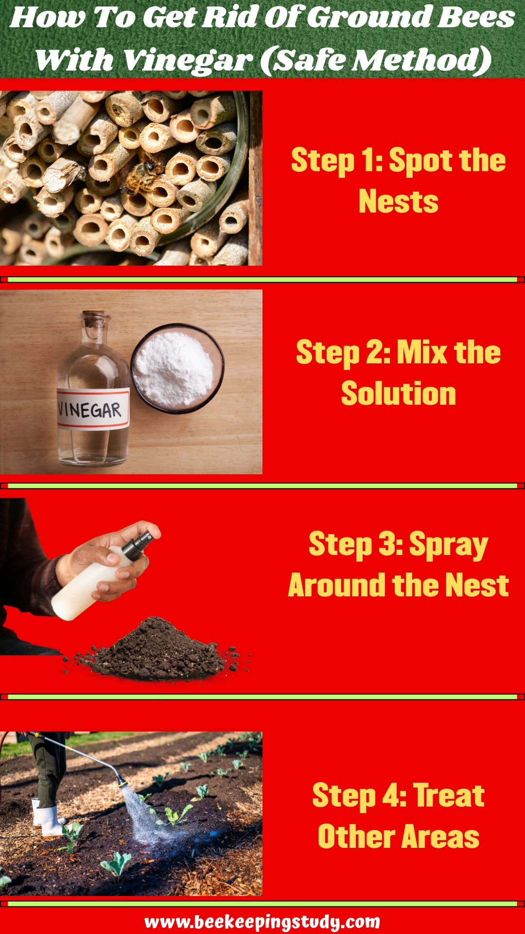 How To Get Rid Of Ground Bees With Vinegar