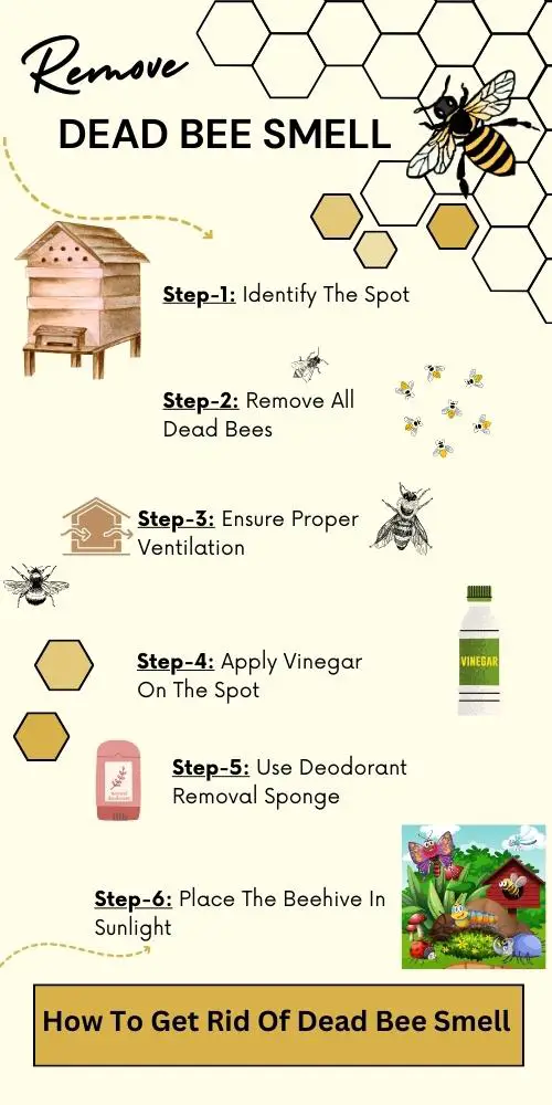 How to get rid of dead bee smell