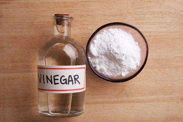 Vinegar For Repelling Ground Bees