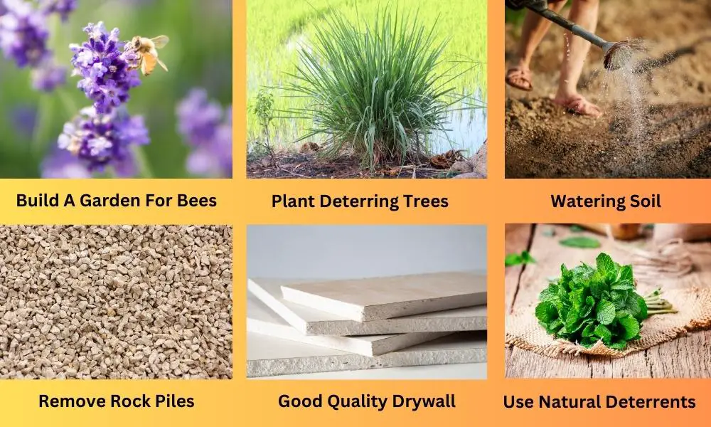 Ways To Prevent Ground Bees From Nesting