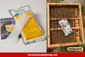 Apivar & Apiguard in Beehive