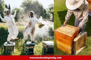 Bee smoker & Hive tool