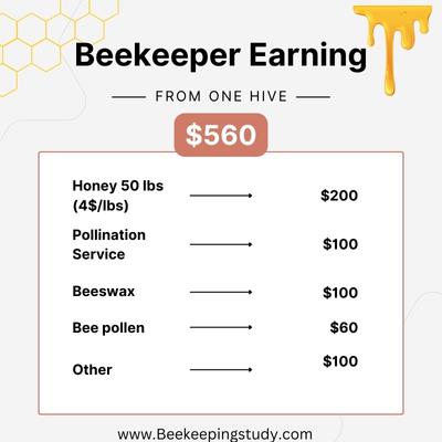 A Beekeepers Earning Estimation