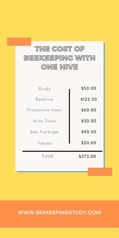 Beekeeping cost with 1 hive