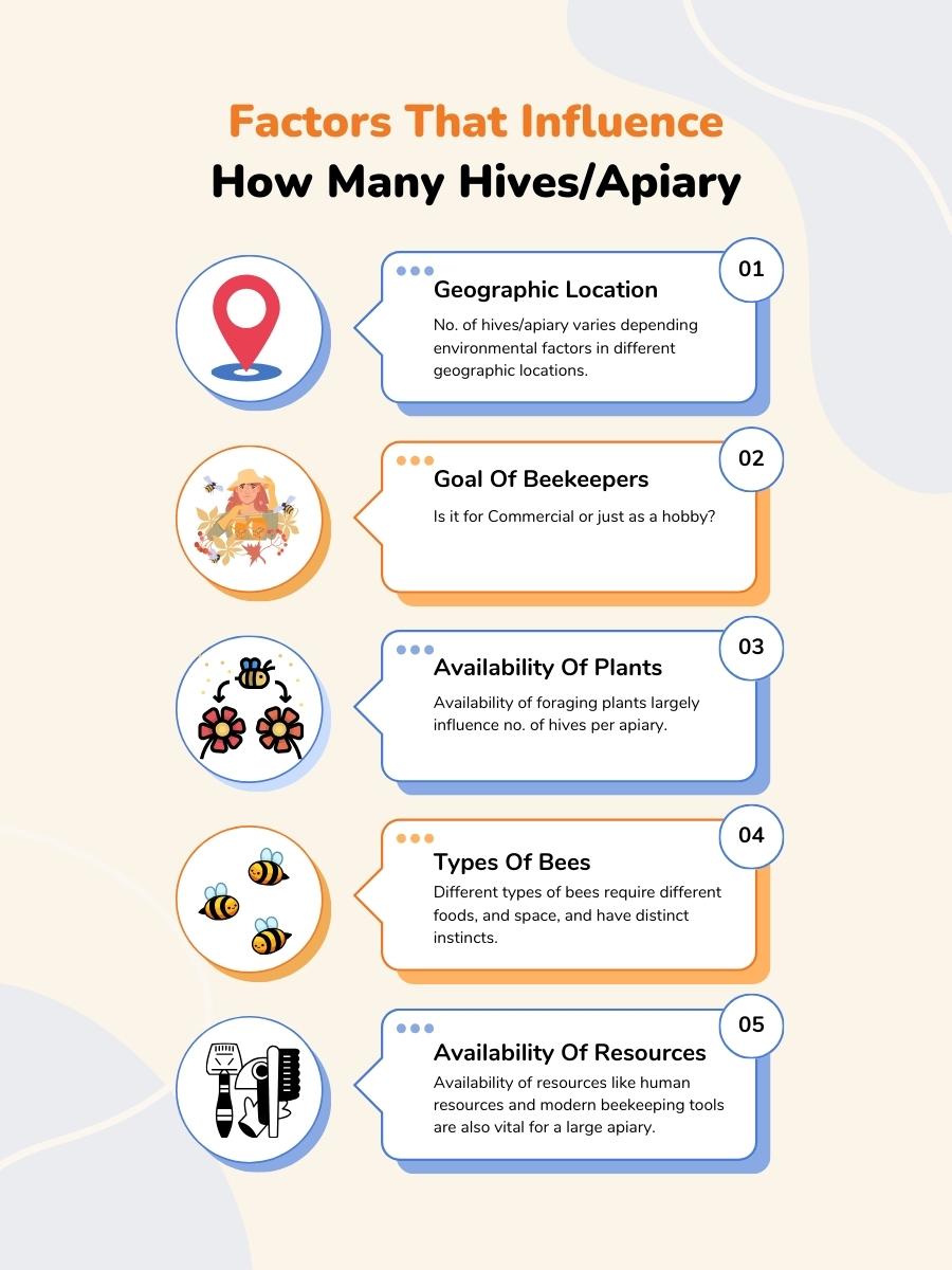 Factors That Influences How Many Apiary Per Hive