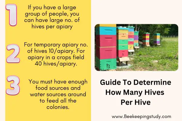Guide To Determine How Many Hives Per Hive